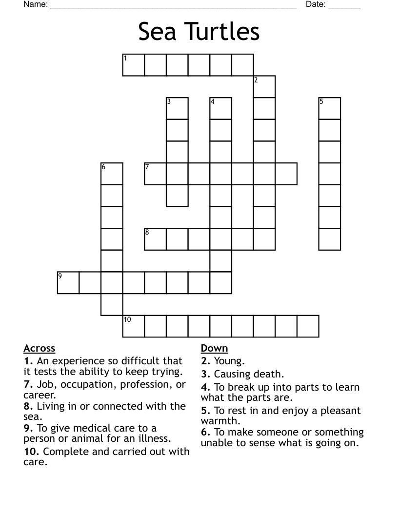 Sea Turtles Crossword