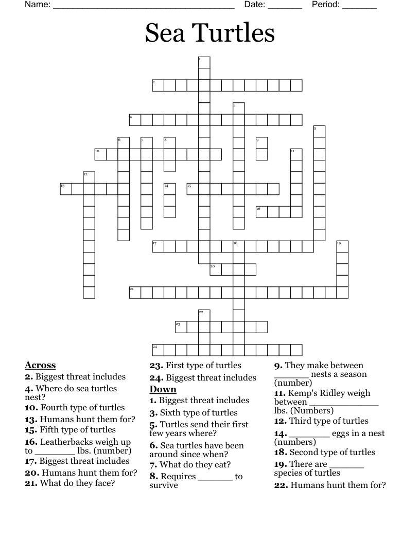 Sea Turtles Crossword