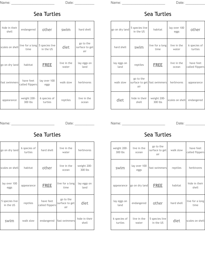 Sea Turtles Bingo Cards