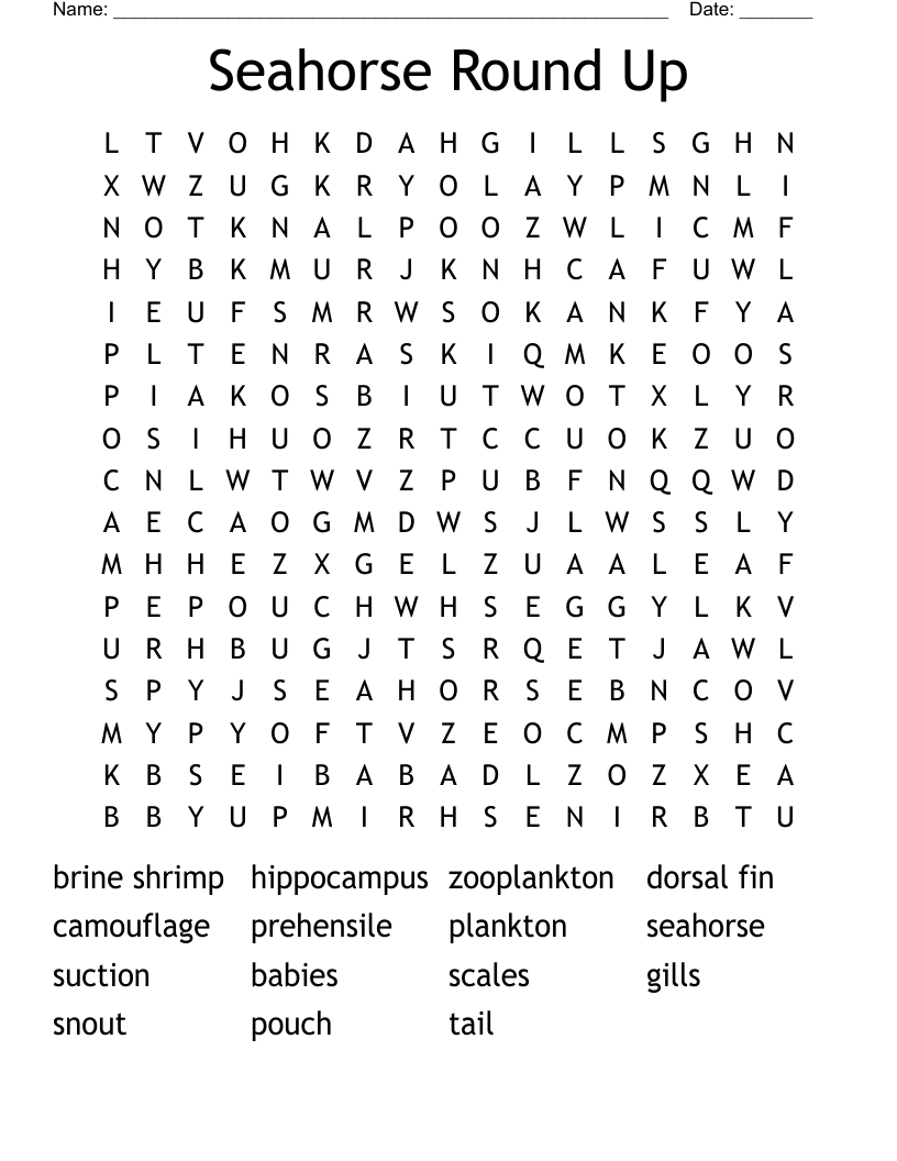 Seahorse Round Up Word Search