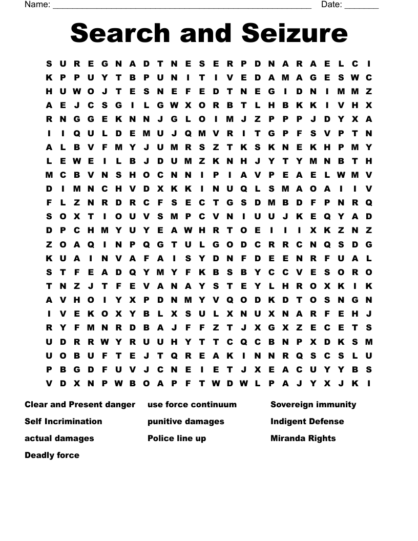 Search and Seizure Word Search