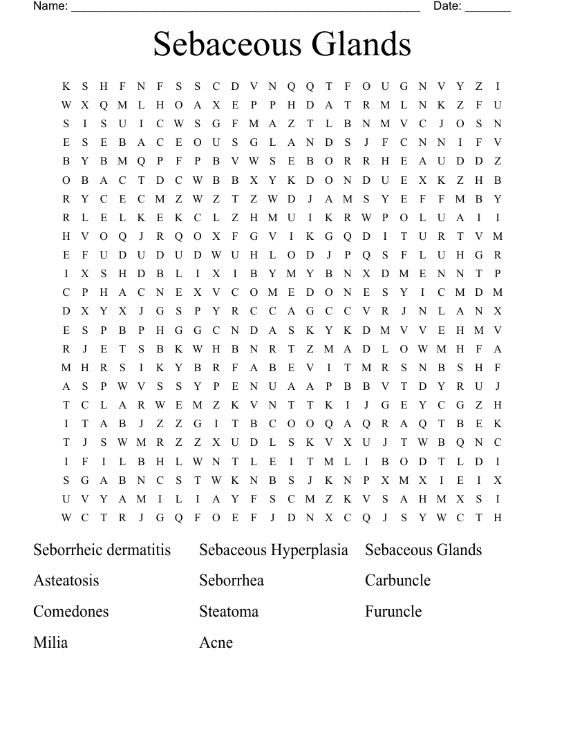 Sebaceous Glands  Word Search