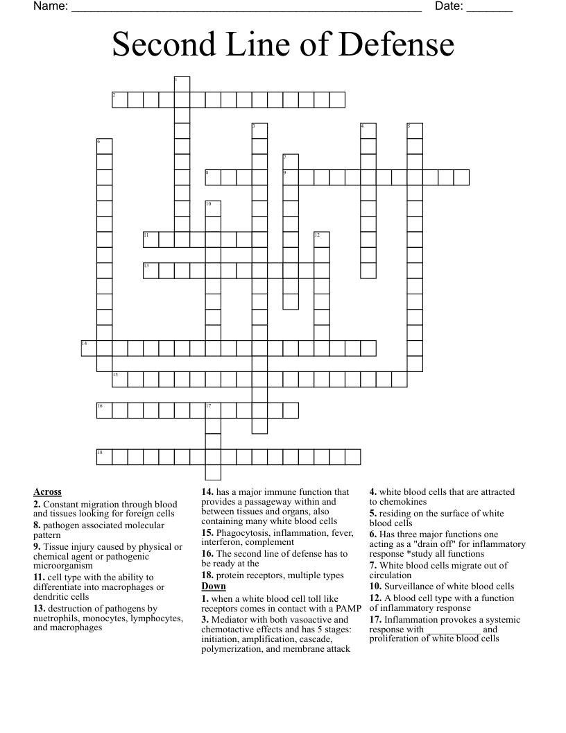 Second Line of Defense  Crossword