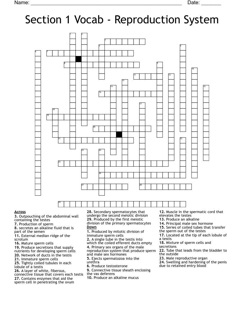 Section 1 Vocab - Reproduction System Crossword
