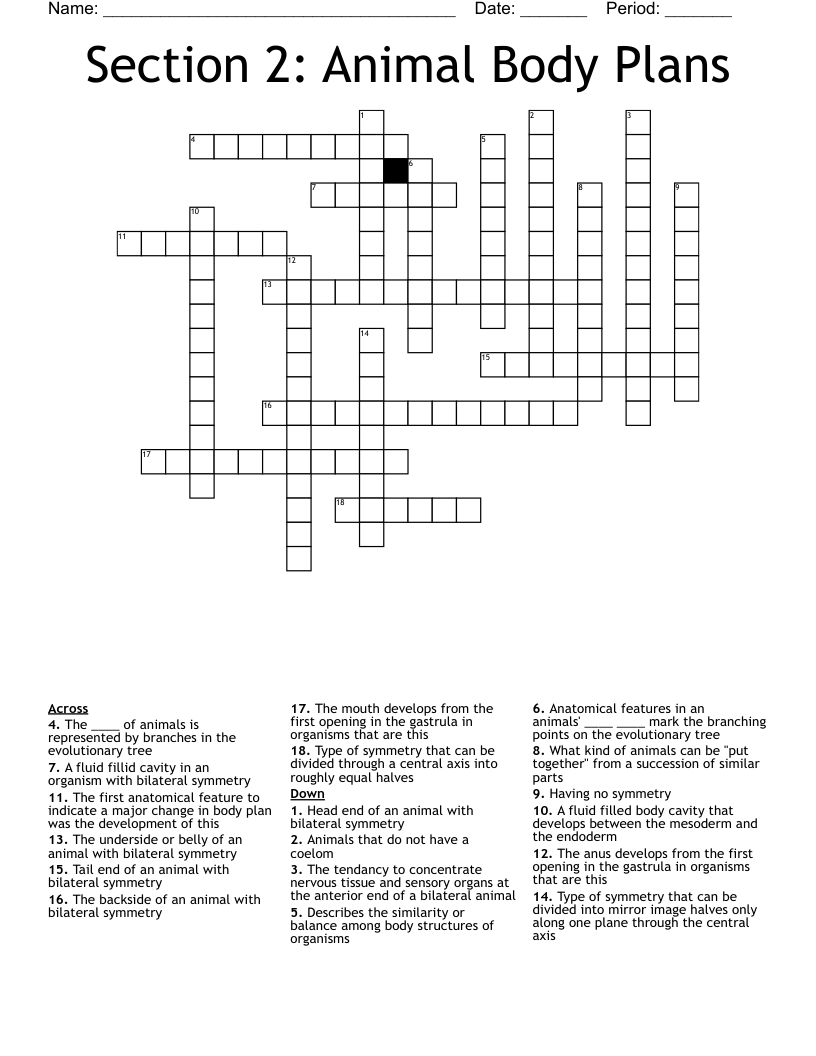 Section 2: Animal Body Plans Crossword
