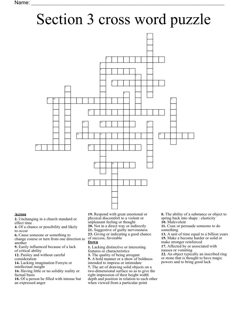 Section 3 cross word puzzle 