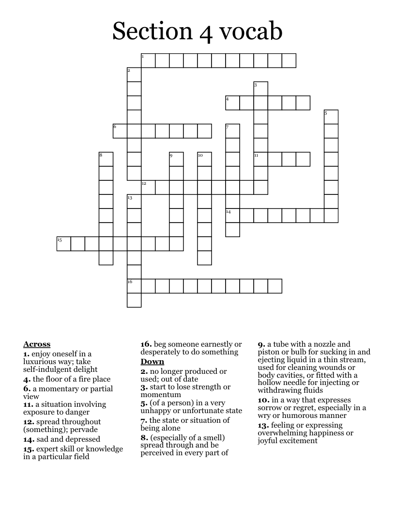 Section 4 vocab Crossword