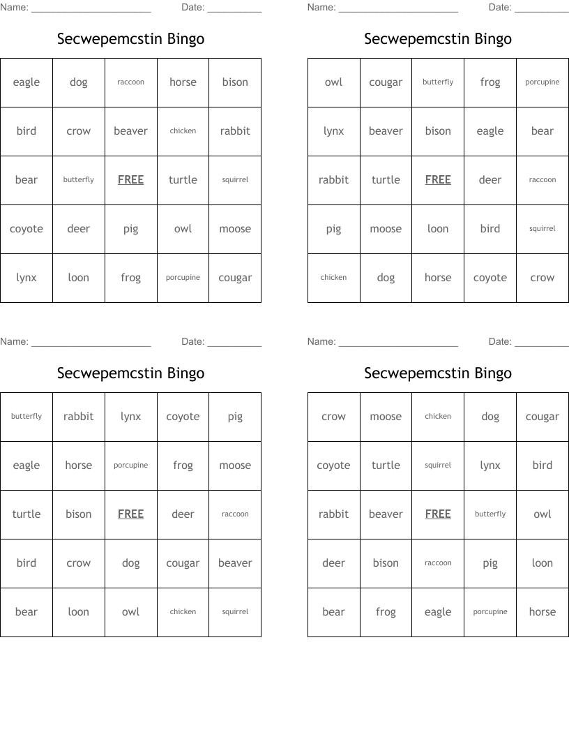 Secwepemcstin Bingo