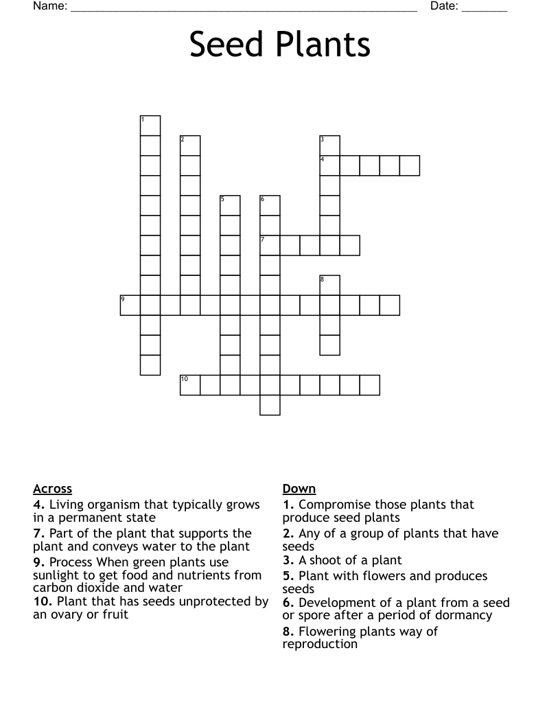 Seed Plants Crossword