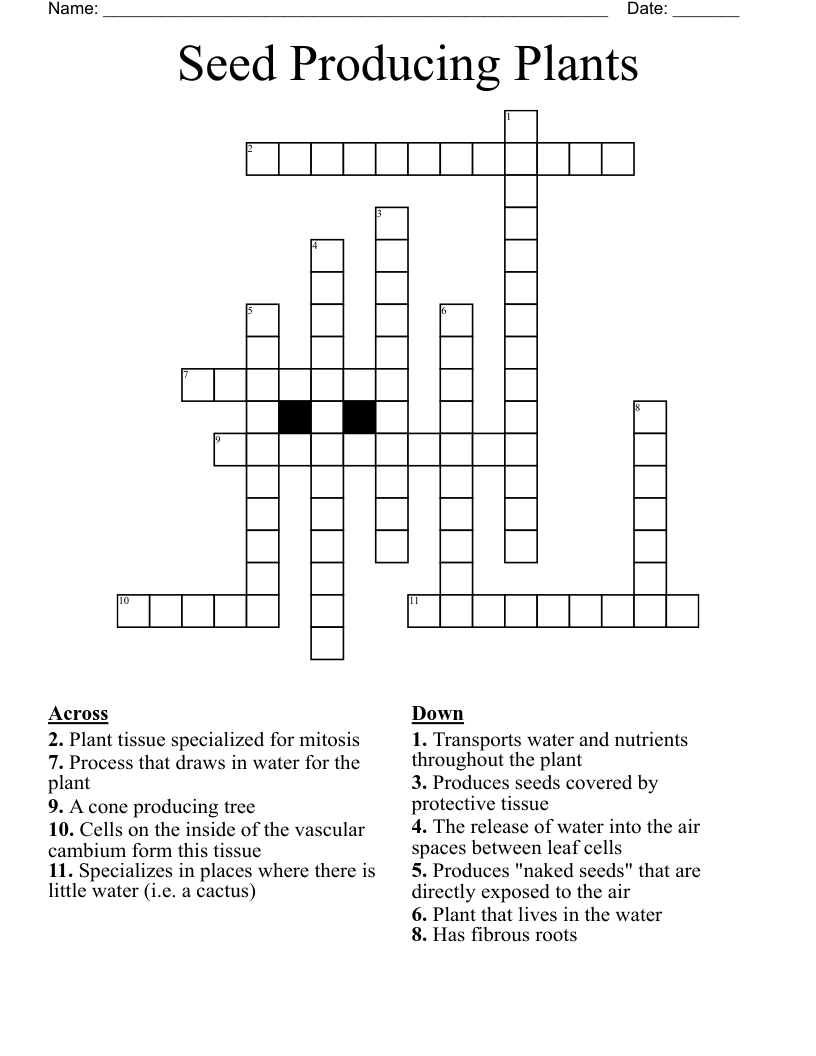 Seed Producing Plants Crossword