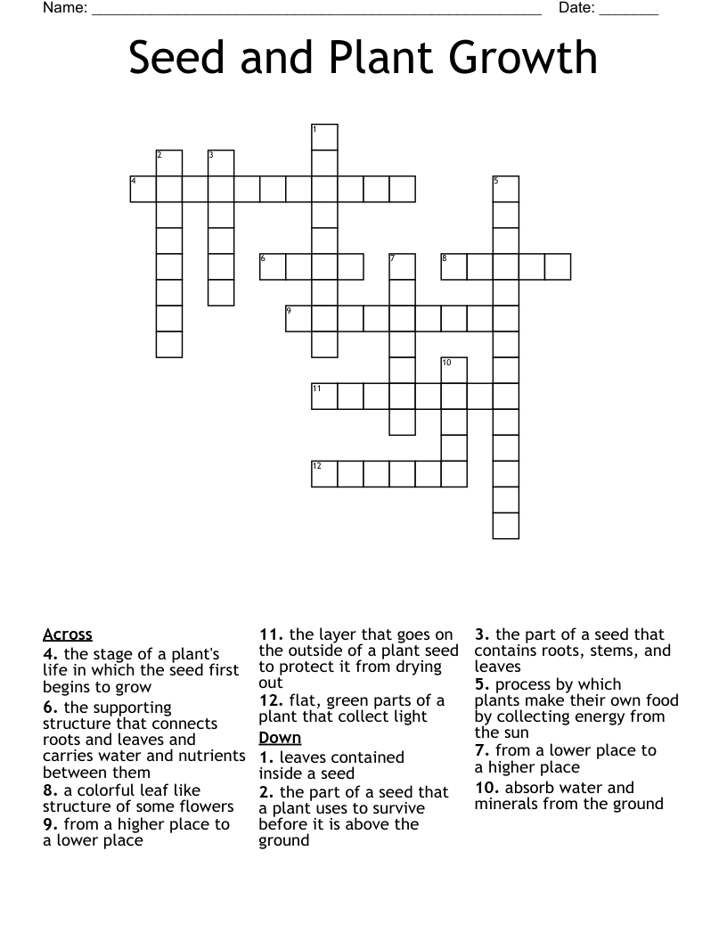 Seed and Plant Growth Crossword