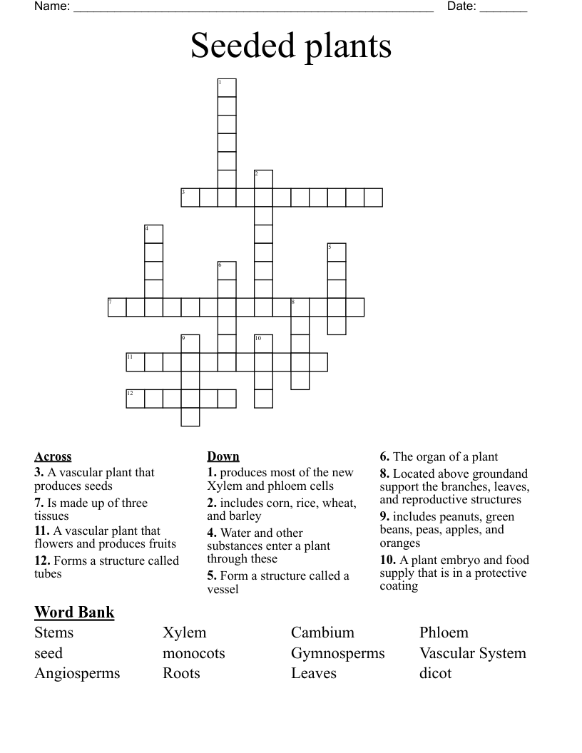 Seeded plants Crossword