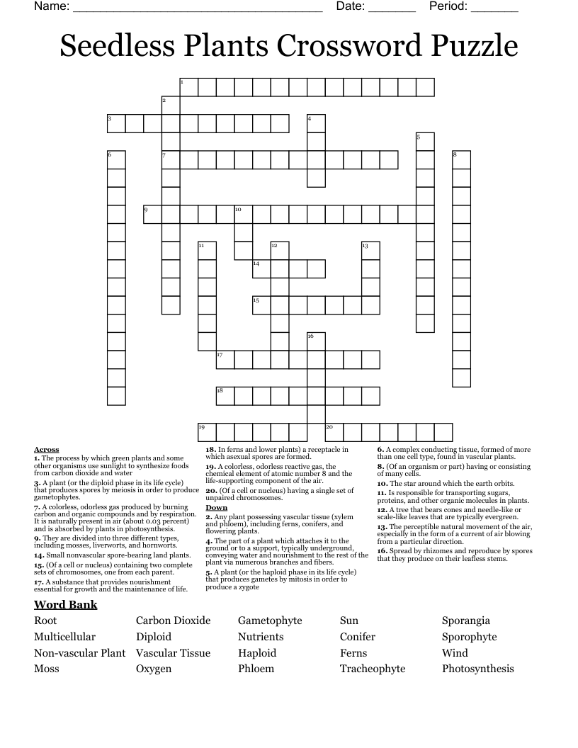 Seedless Plants Crossword Puzzle
