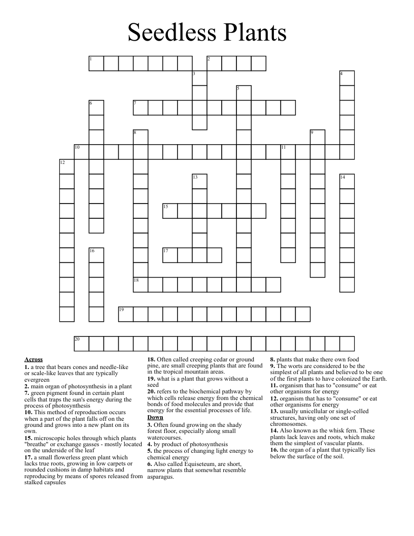 Seedless Plants  Crossword