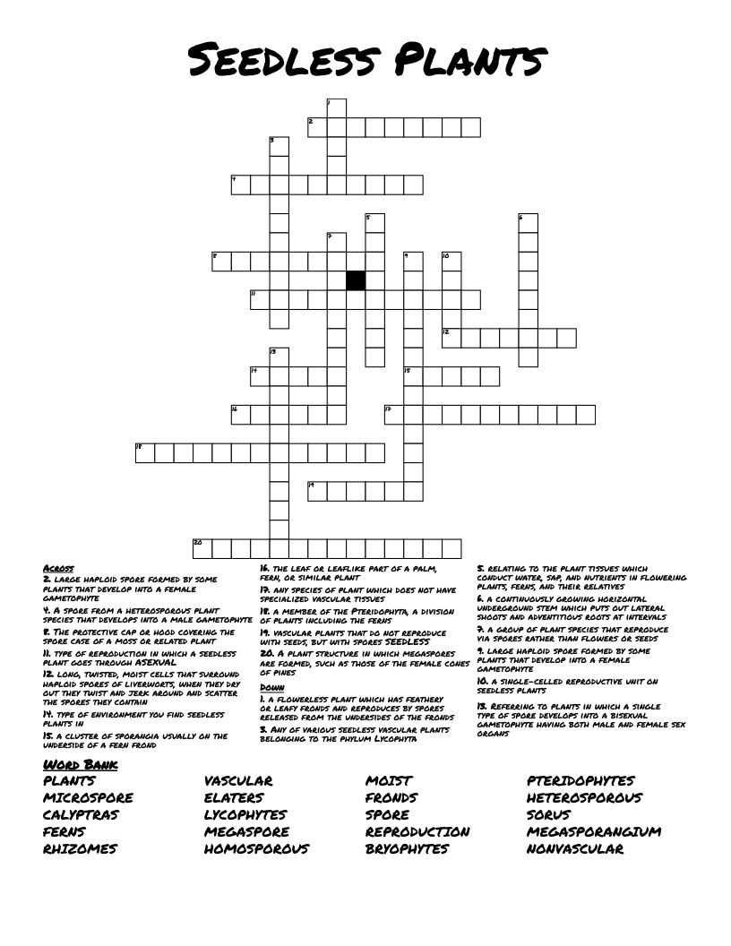 Seedless Plants  Crossword