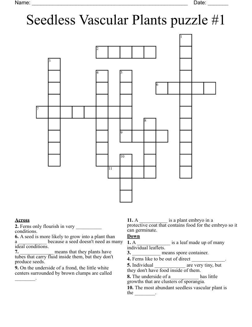 Seedless Vascular Plants puzzle #1 Crossword