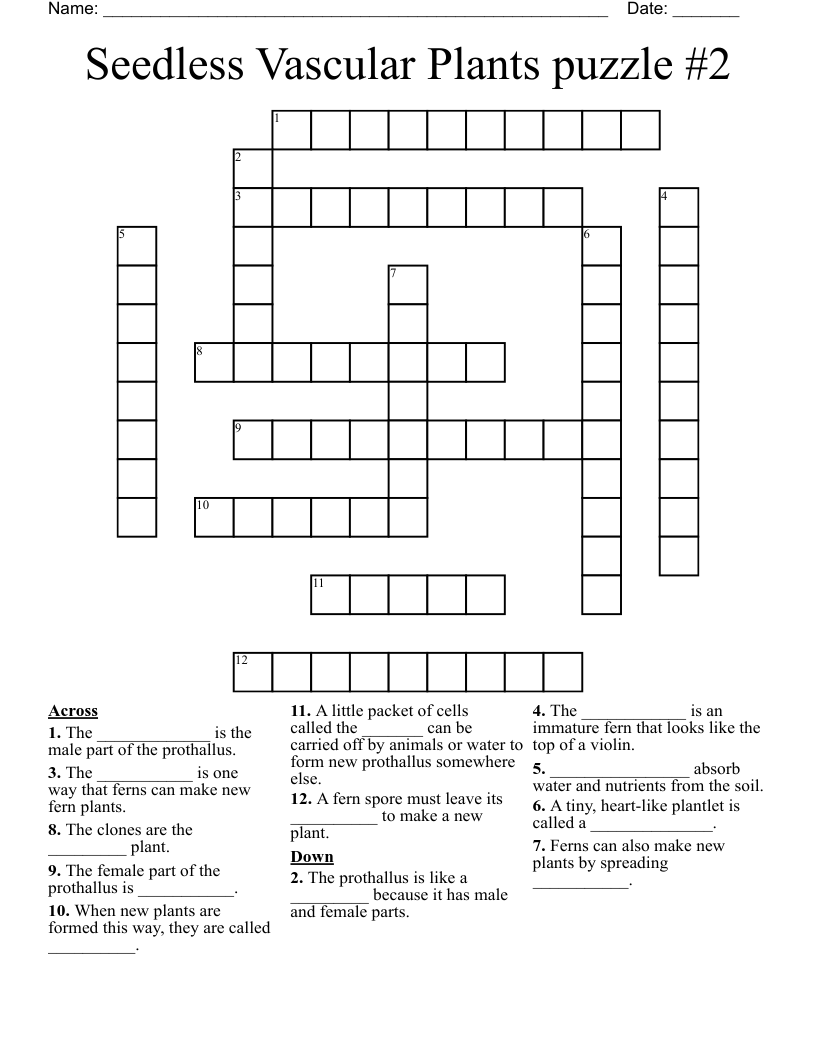 Seedless Vascular Plants puzzle #2 Crossword