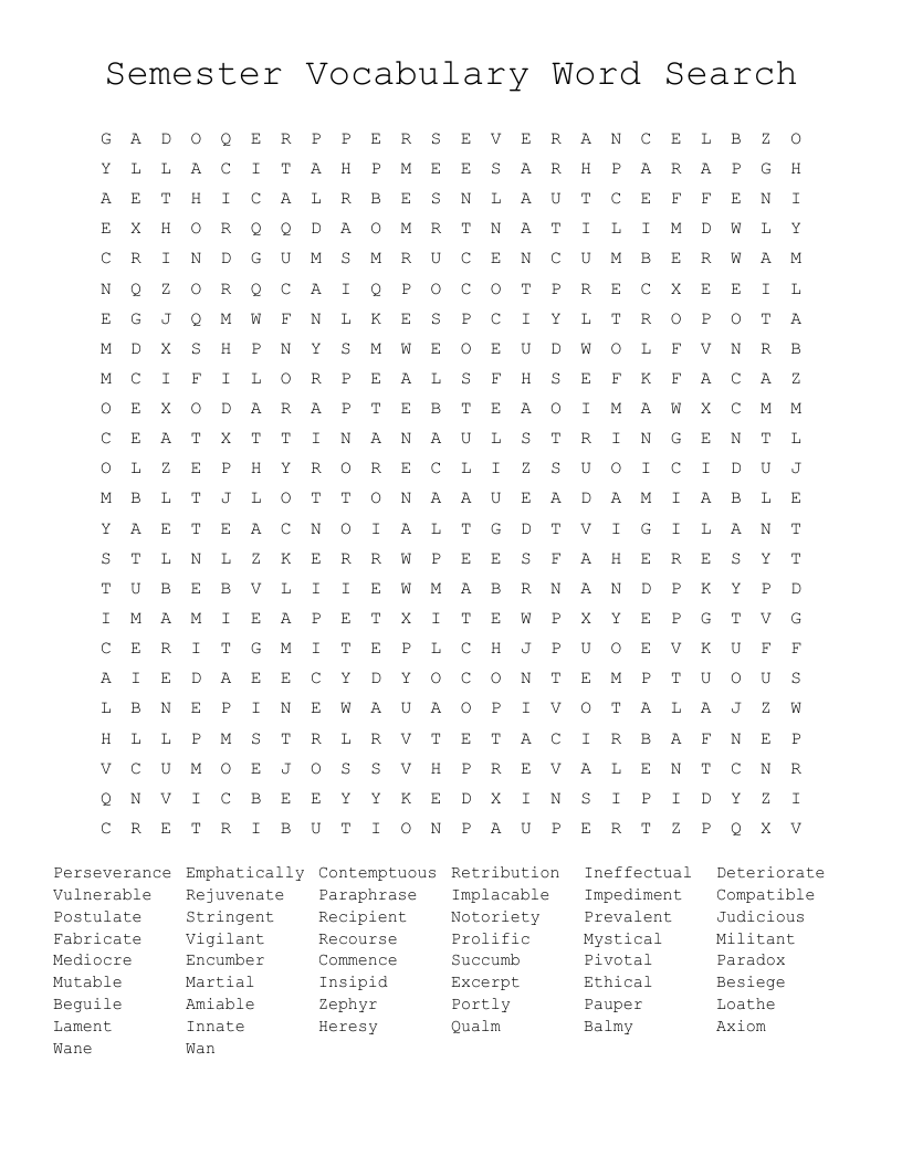 Semester Vocabulary Word Search 