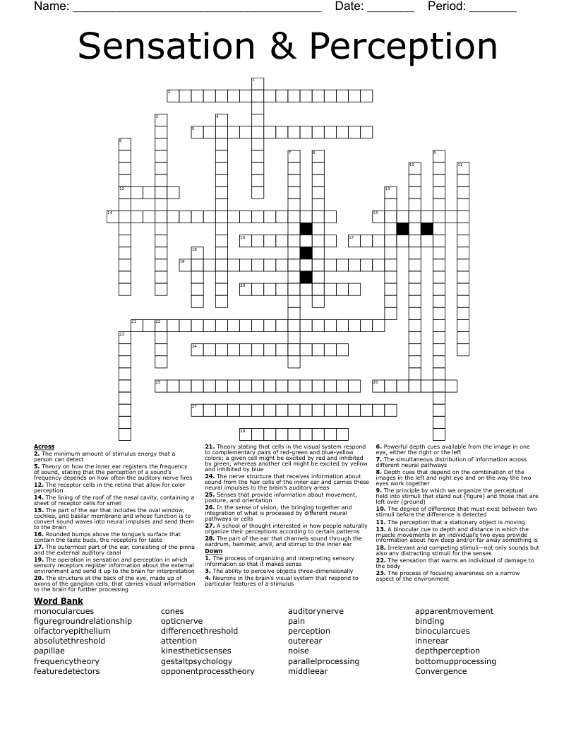 Sensation & Perception Crossword