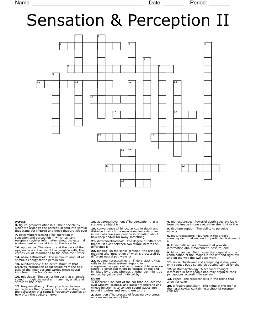 Sensation & Perception II Crossword