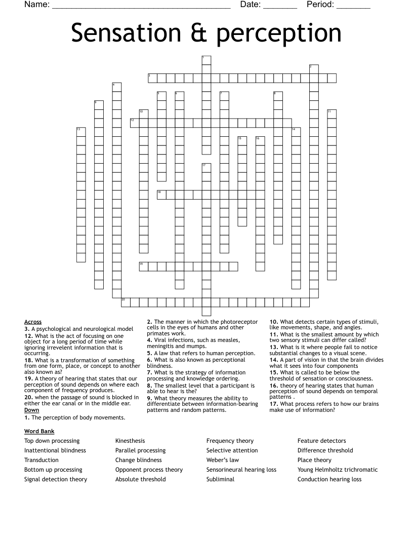 Sensation & perception  Crossword