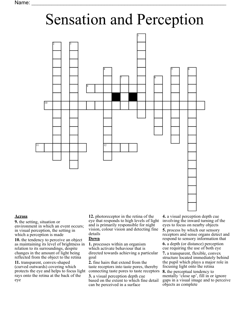 Sensation and Perception Crossword