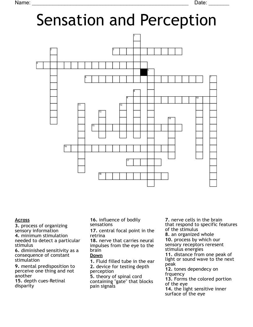 Sensation and Perception Crossword