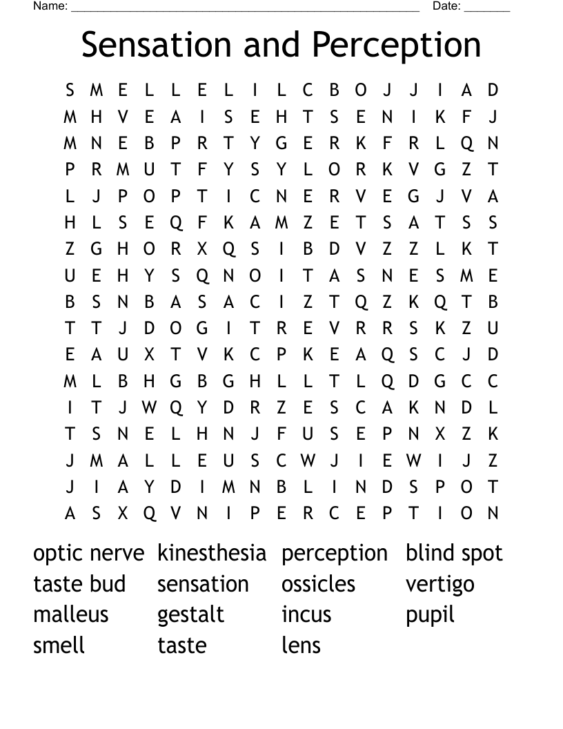 Sensation and Perception Word Search