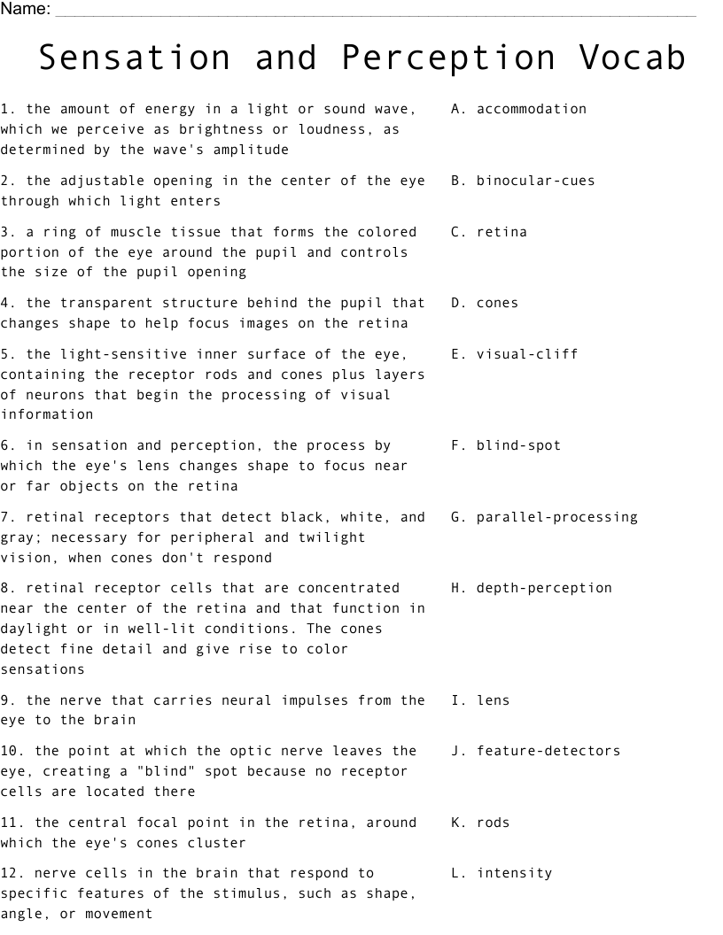Sensation and Perception Vocab Worksheet