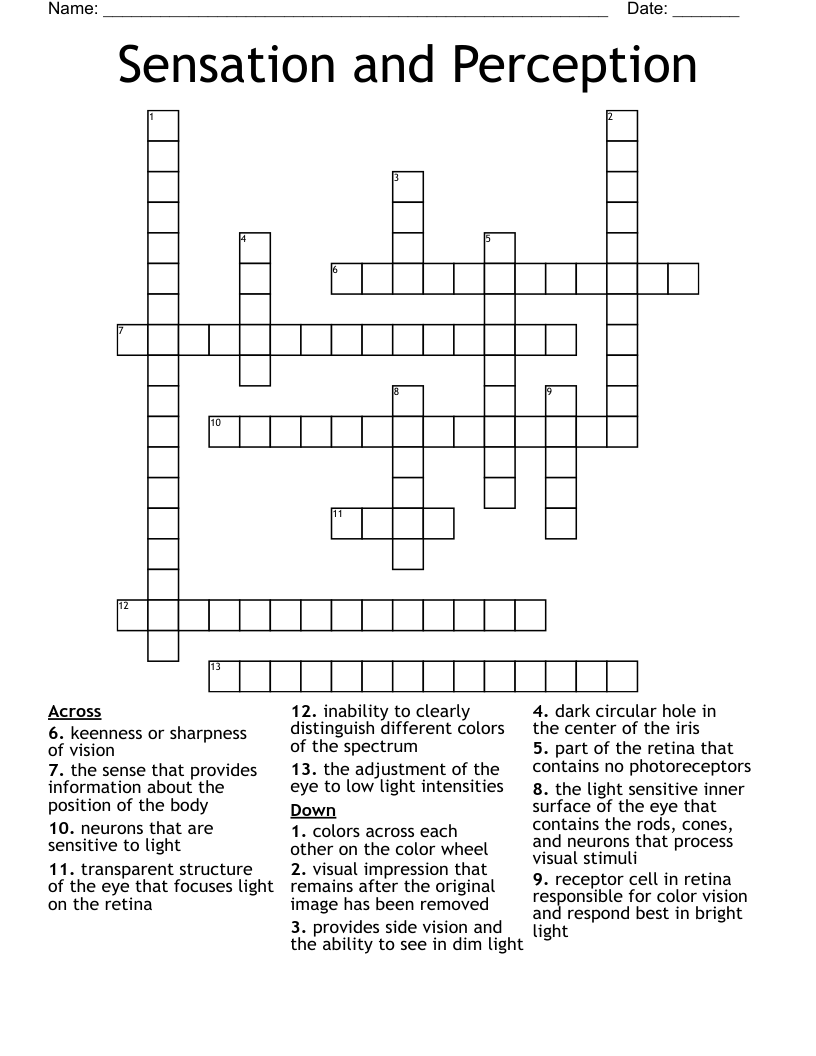 Sensation and Perception  Crossword