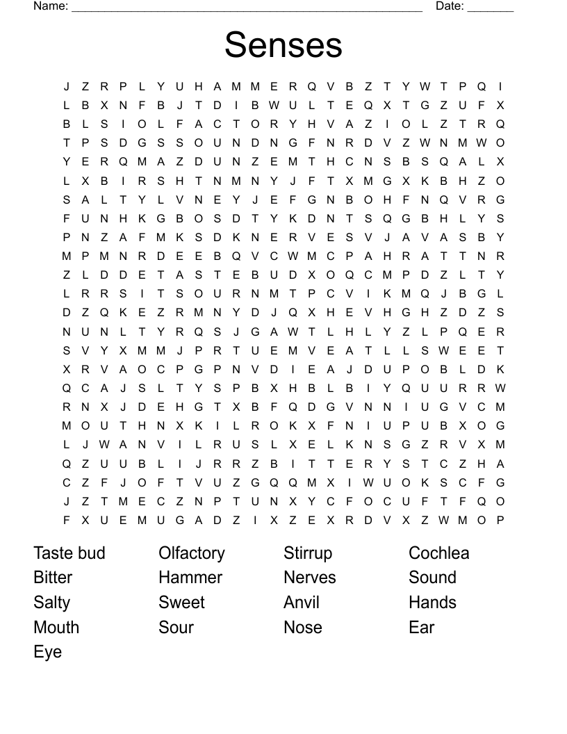 Senses Word Search