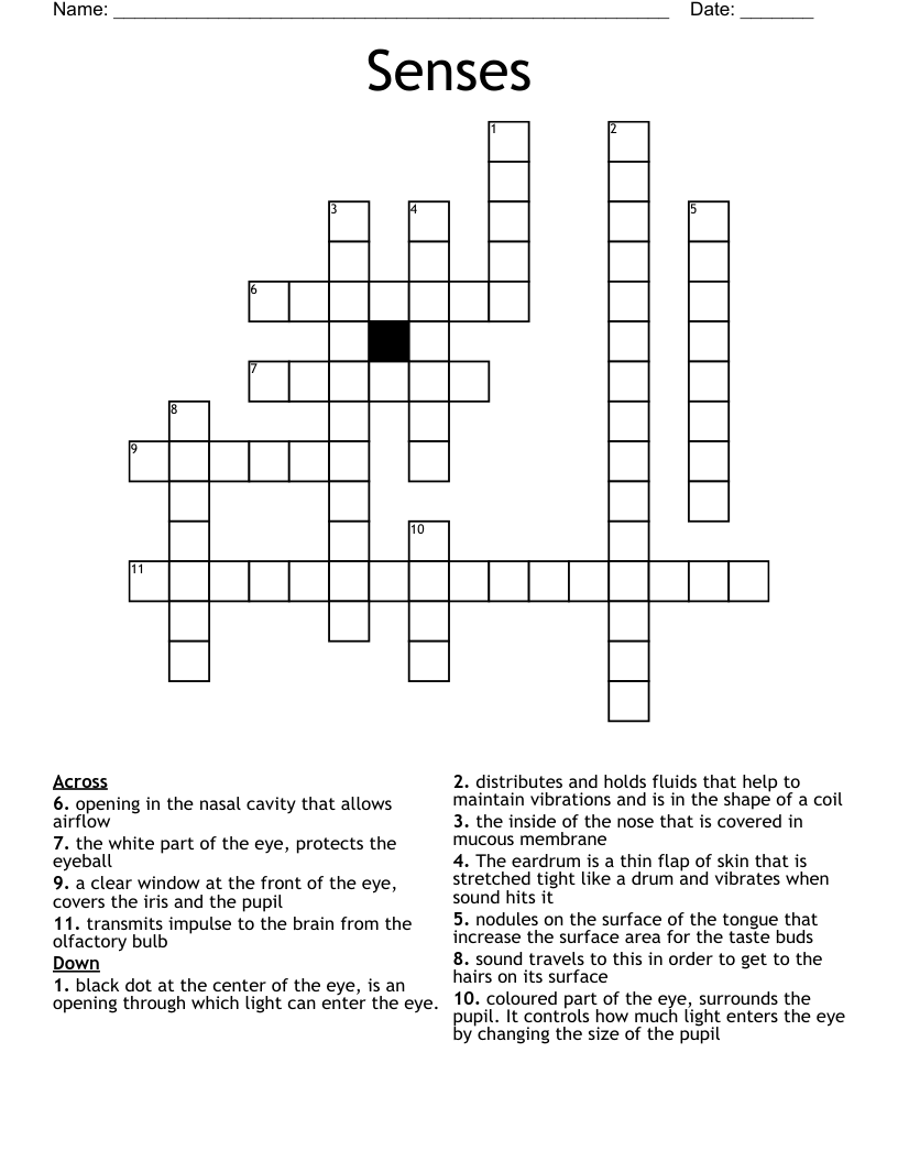 Senses Crossword