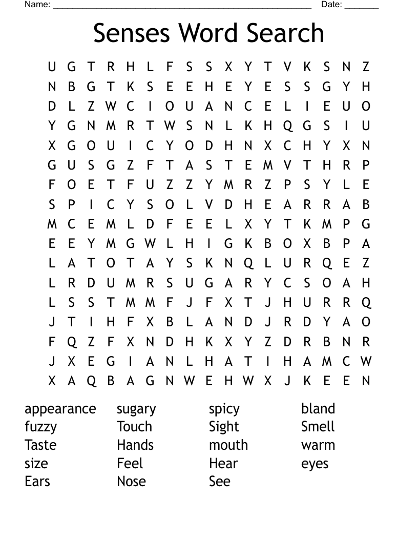 Senses Word Search
