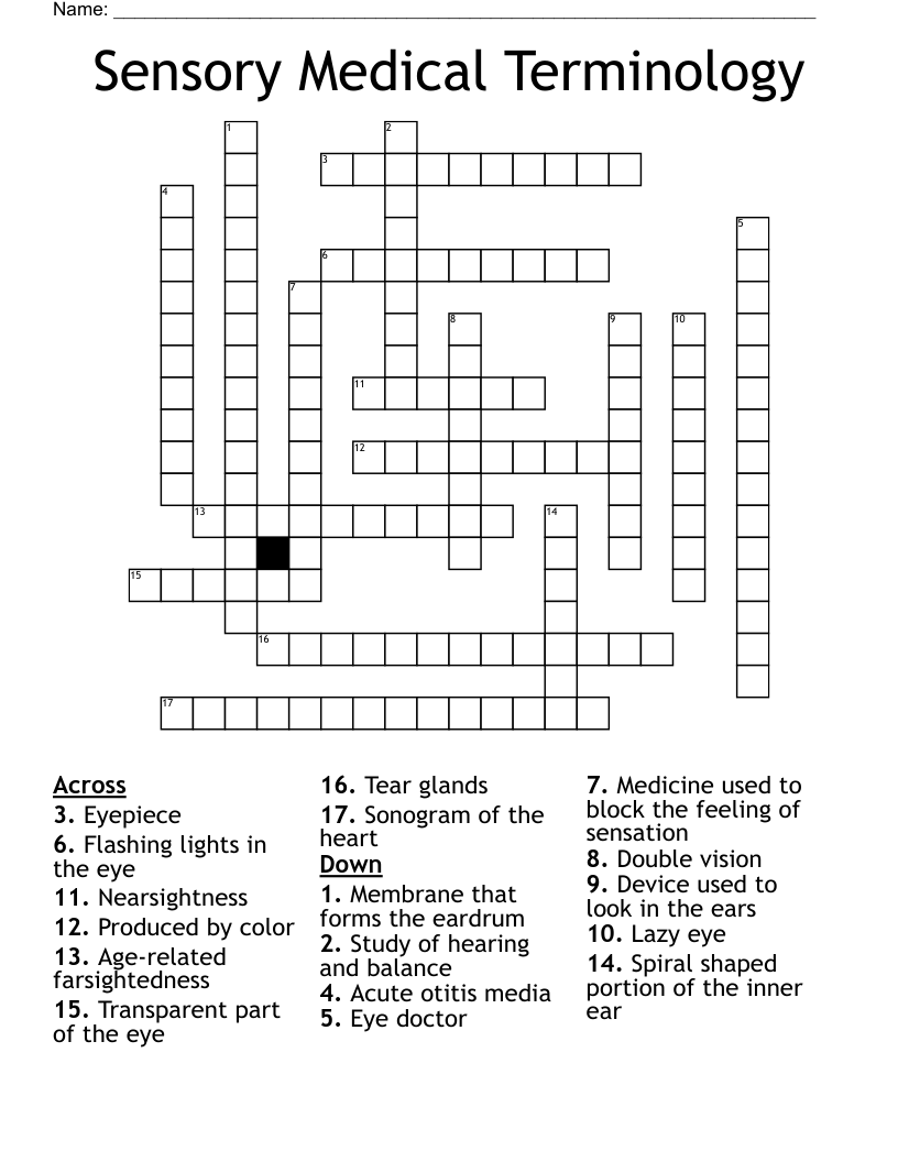 Sensory Medical Terminology Crossword
