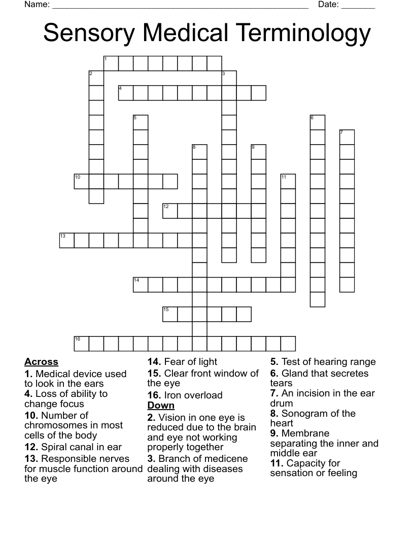 Sensory Medical Terminology Crossword