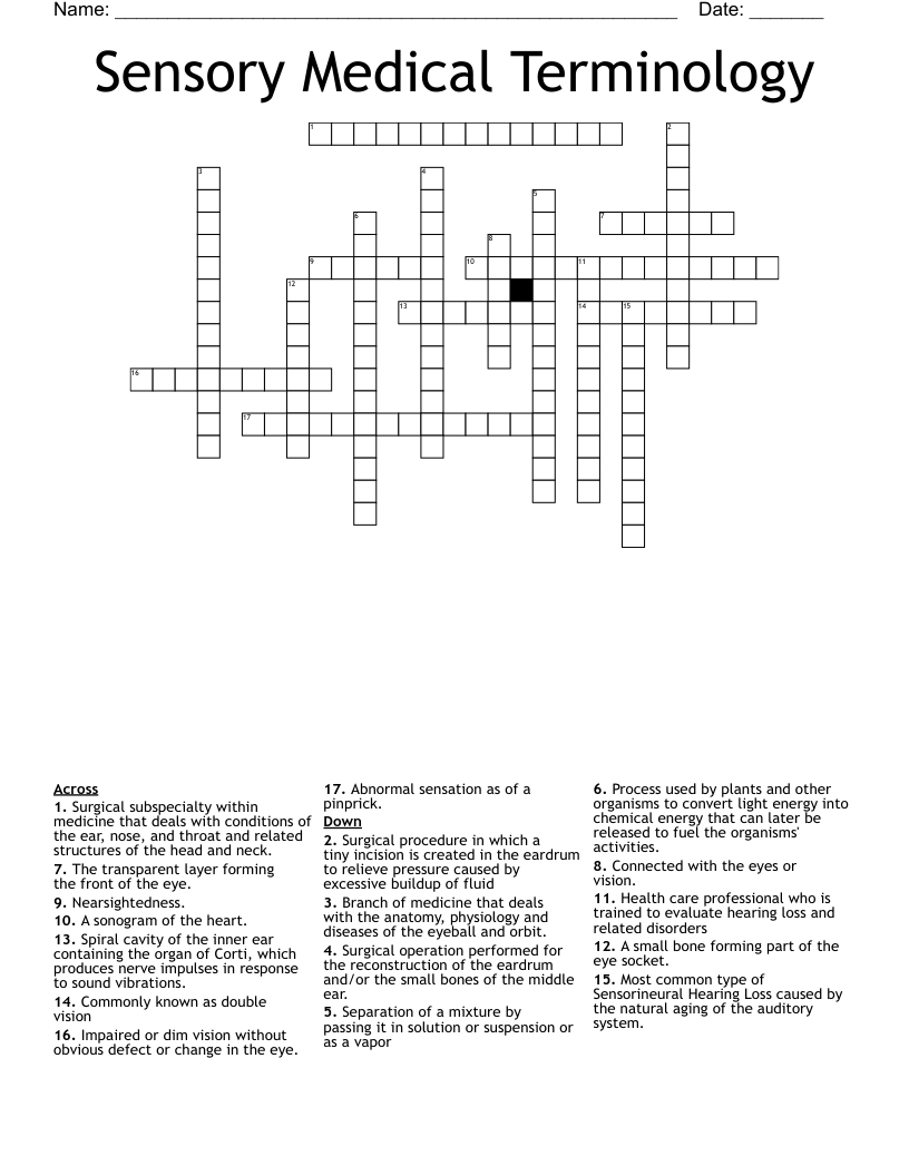 Sensory Medical Terminology Crossword