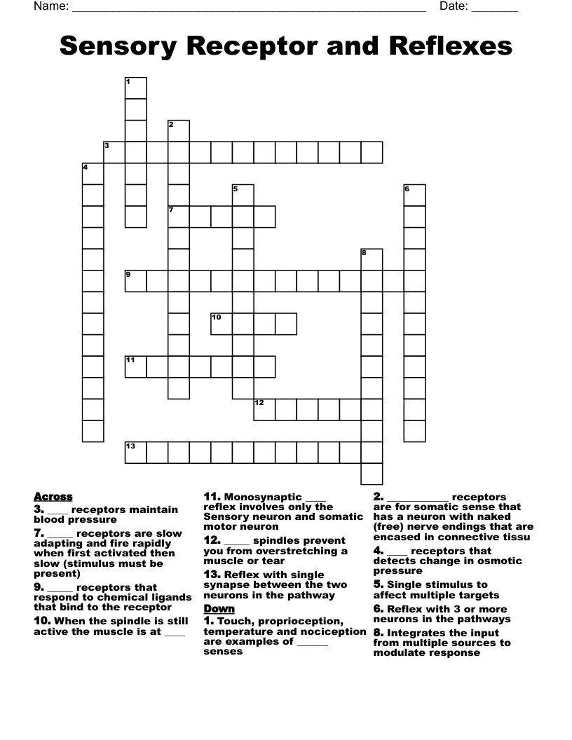 Sensory Receptor and Reflexes Crossword