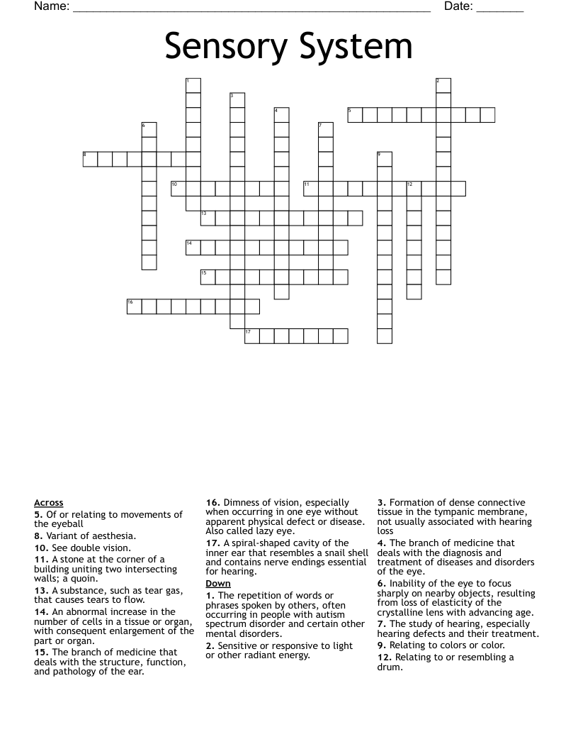 Sensory System Crossword