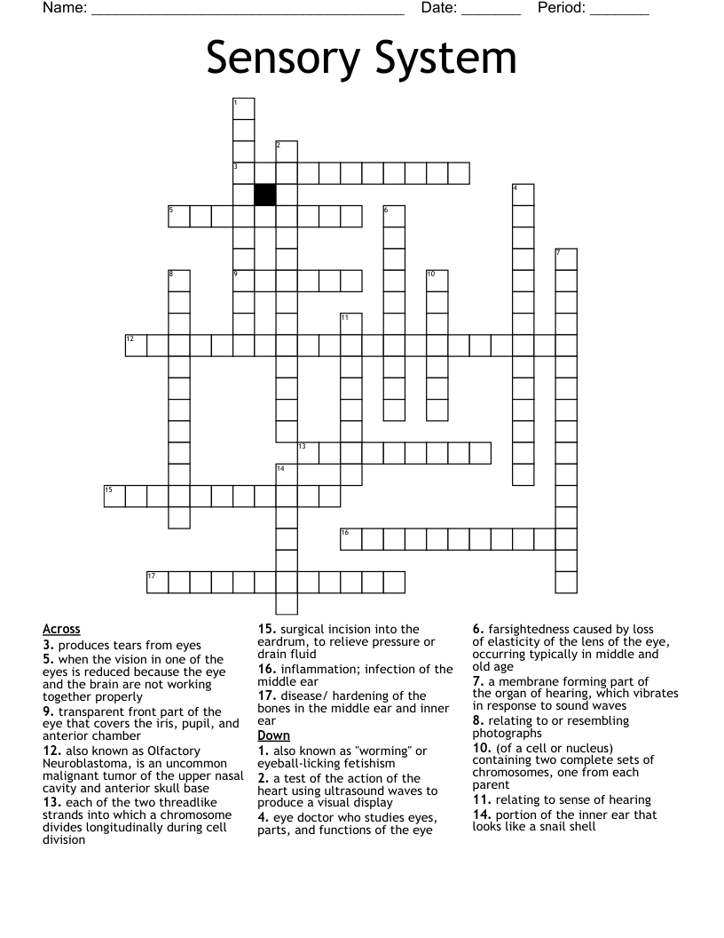 Sensory System Crossword