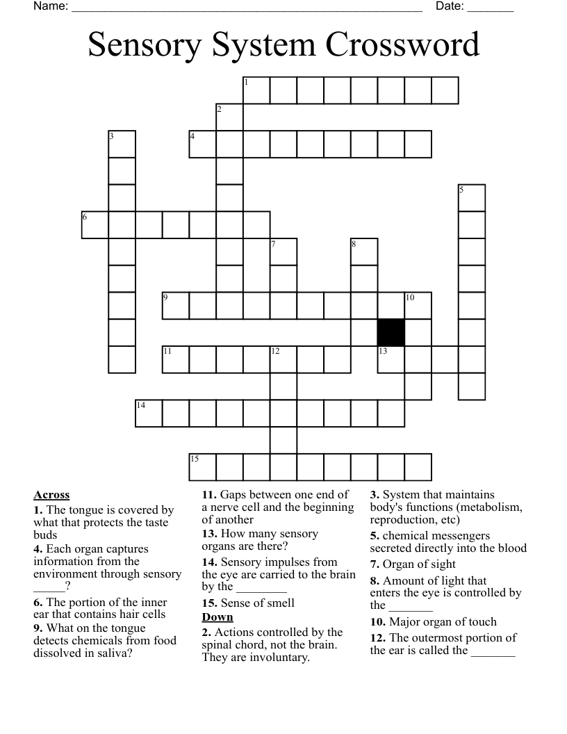 Sensory System Crossword