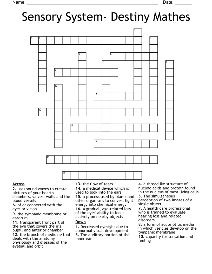 Sensory System- Destiny Mathes Crossword