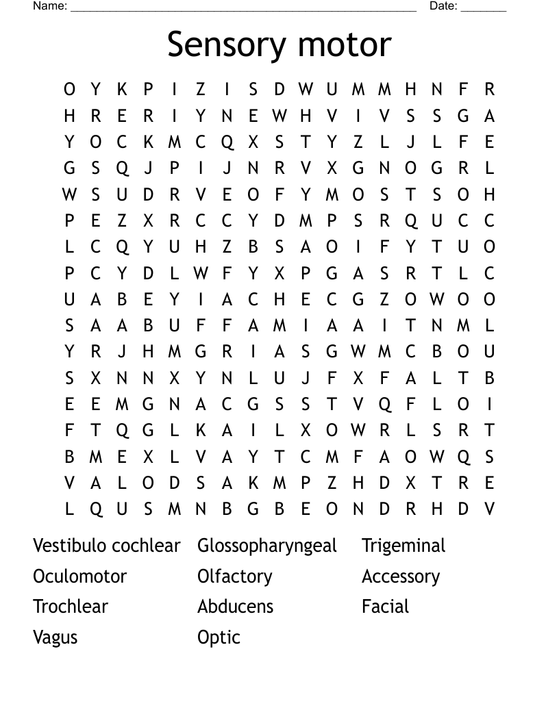 Sensory motor  Word Search