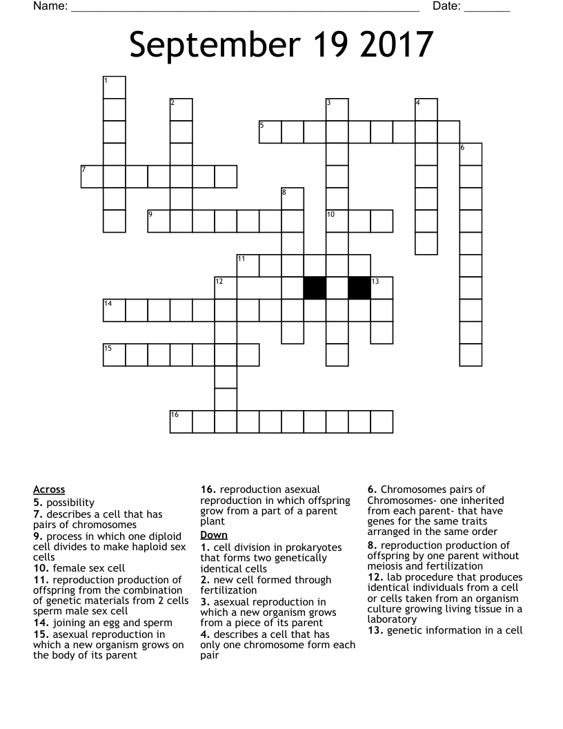 September 19 2017 Crossword