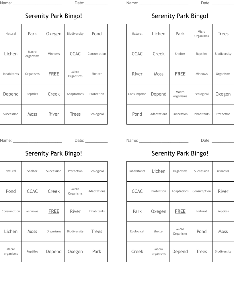 Serenity Park Bingo!