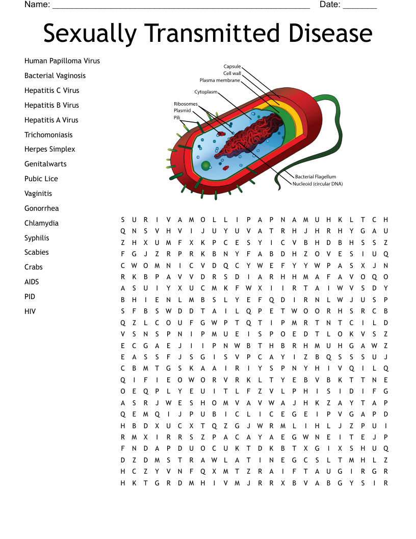 Sexually Transmitted Disease Word Search