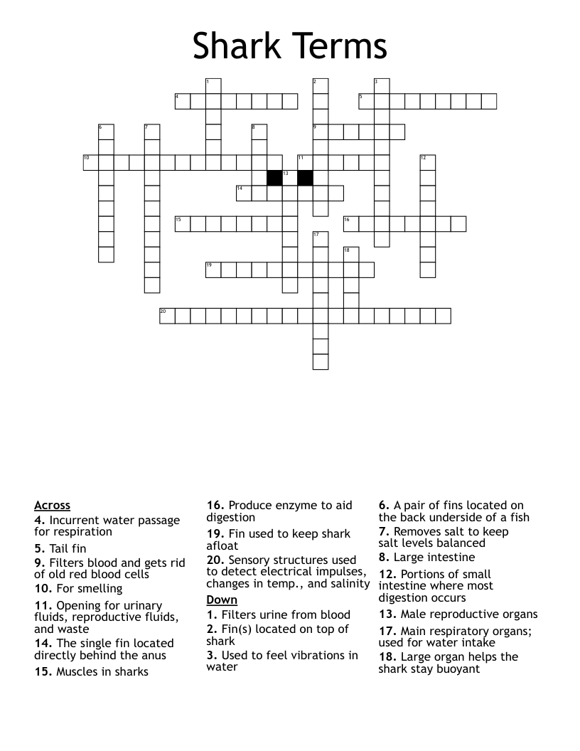 Shark Terms Crossword