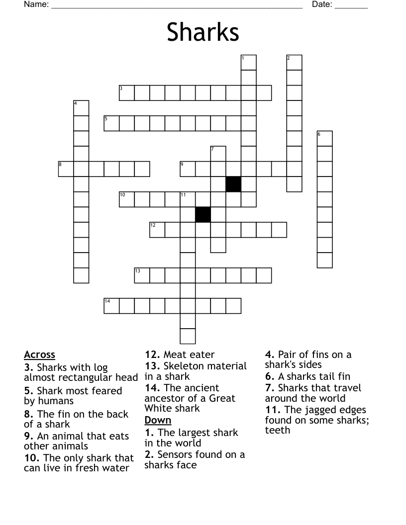 Sharks Crossword