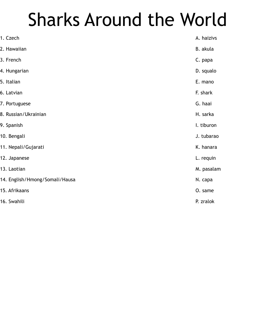 Sharks Around the World Worksheet