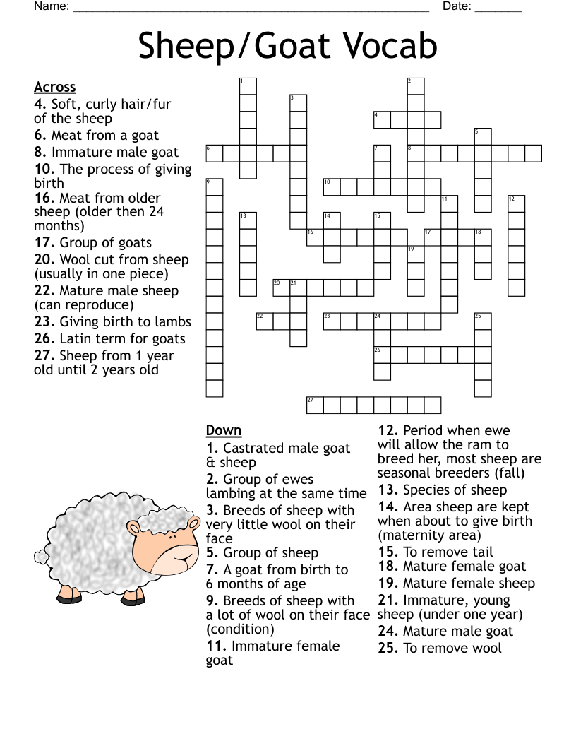 Sheep/Goat Vocab Crossword