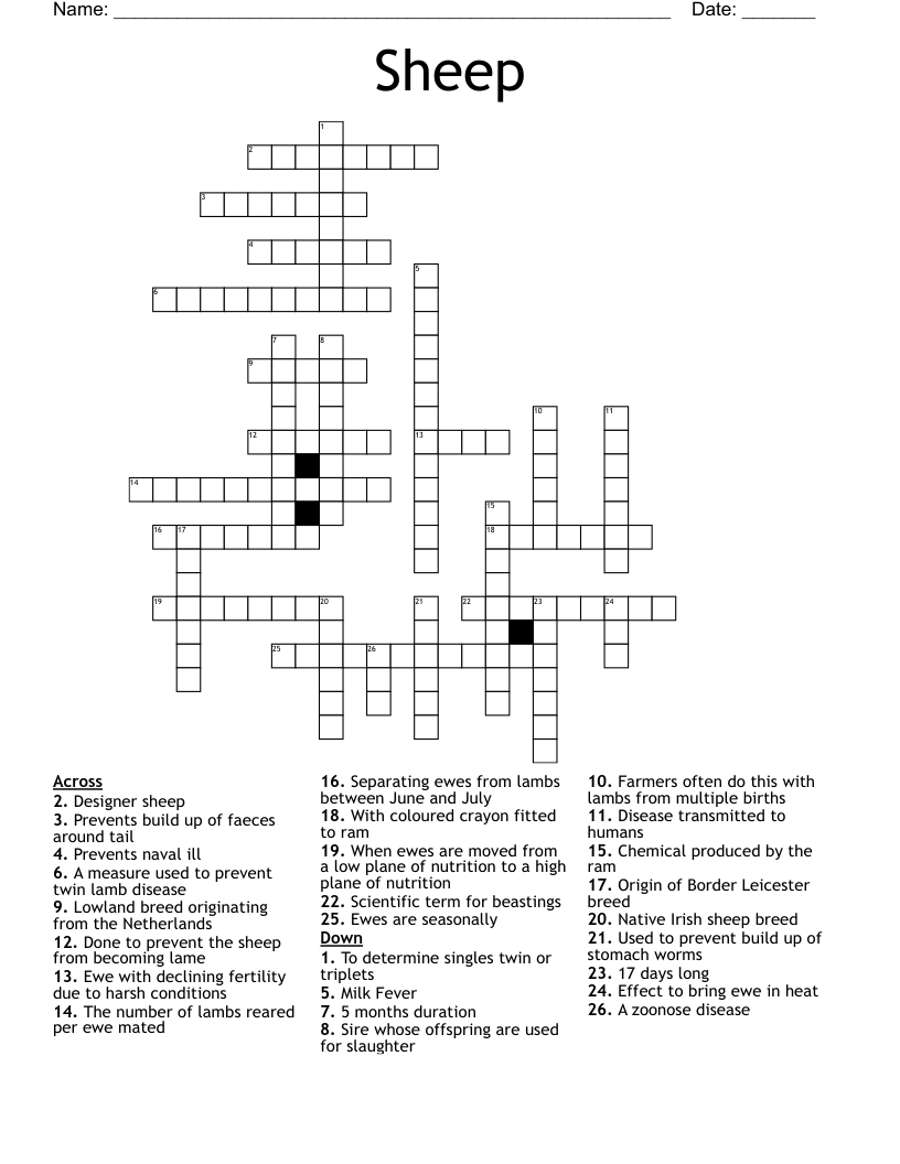 Sheep Crossword